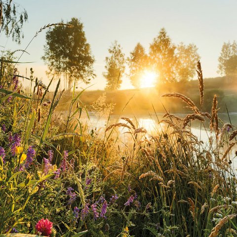 Landgoed Drenkeling